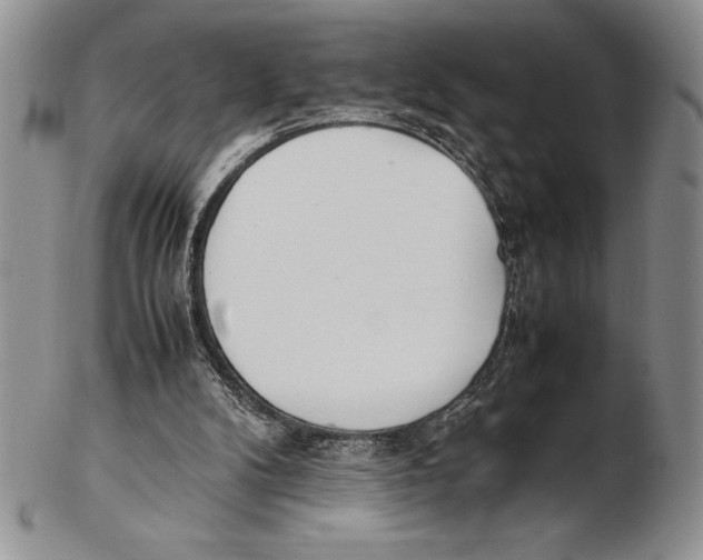 X0000102260104200808221424