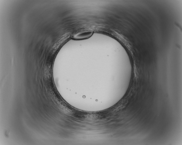 X0000102260105200808221424