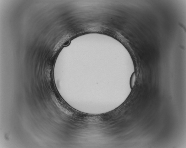 X0000102260106200808221424