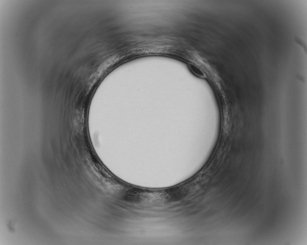 X0000102260107200808221424