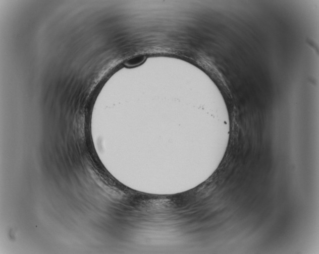 X0000102260108200808221424