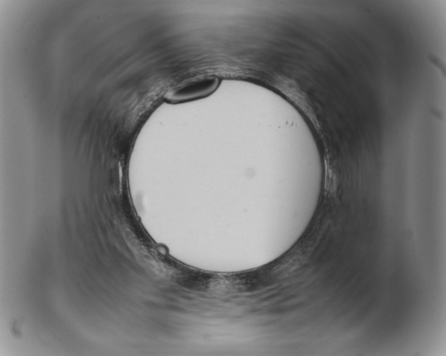 X0000102260109200808221424