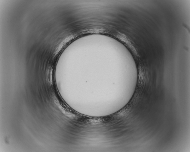X0000102260110200808221424