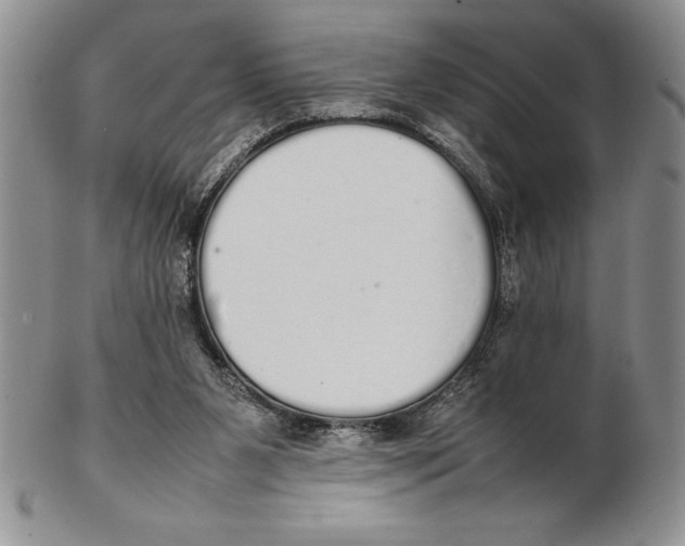 X0000102260111200808221424