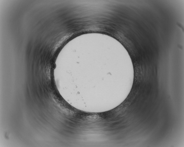X0000102260112200808221424