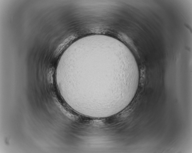 X0000102260114200808221424