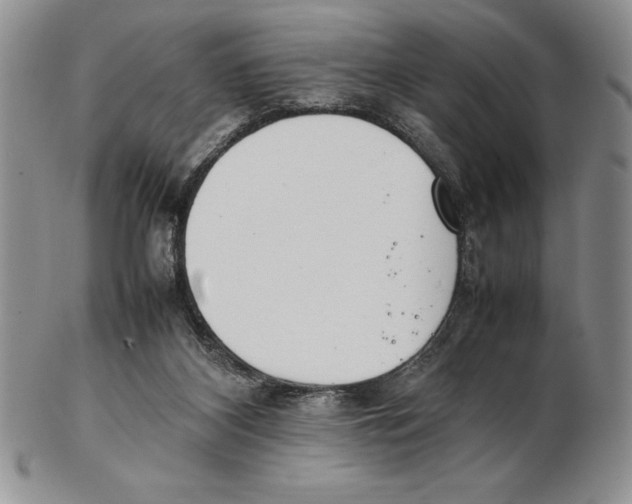 X0000102260116200808221424