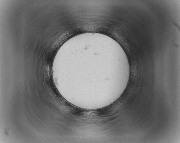 X0000102260117200808221424