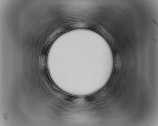 X0000102260119200808221424