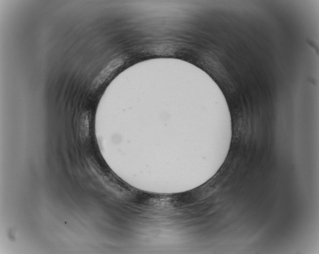 X0000102260120200808221424