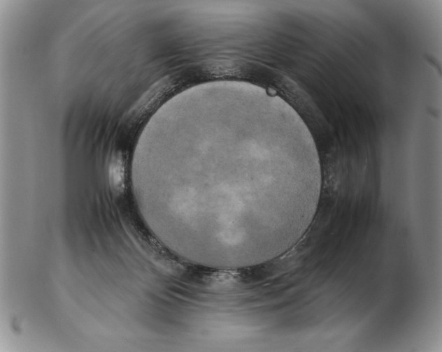 X0000102260124200808221424