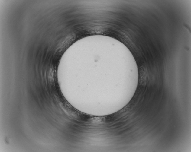X0000102260126200808221424