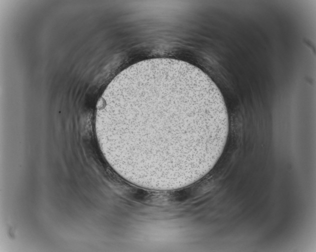 X0000102260127200808221424