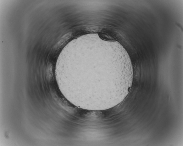 X0000102260128200808221424