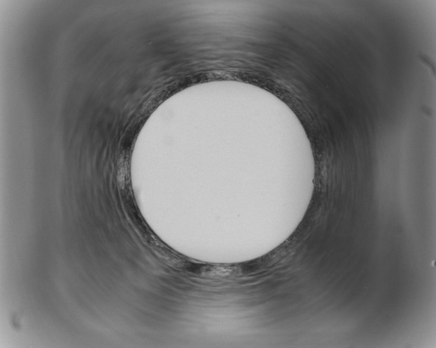 X0000102260129200808221424