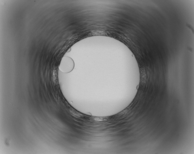 X0000102260130200808221424