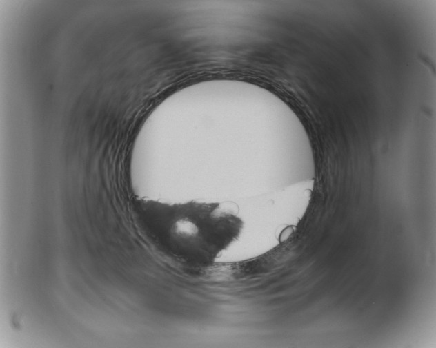 X0000102260131200808221424