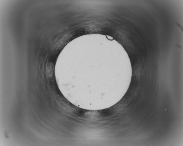 X0000102260133200808221424
