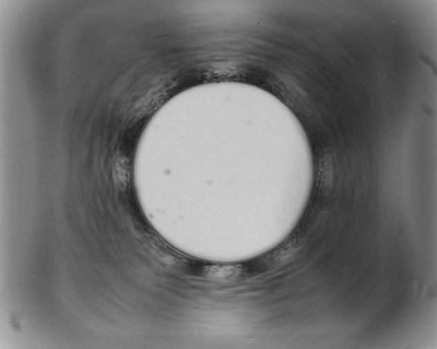 X0000102260135200808221424