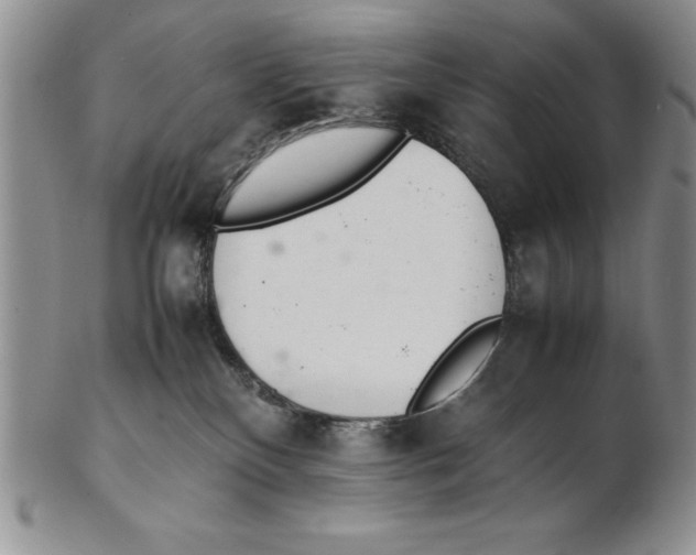 X0000102260136200808221424
