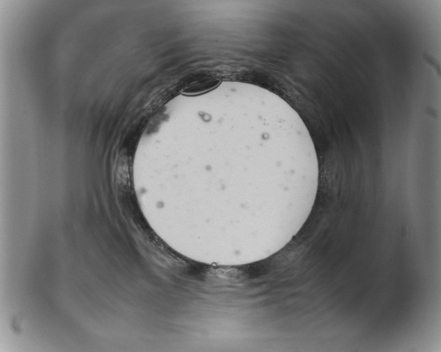 X0000102260137200808221424