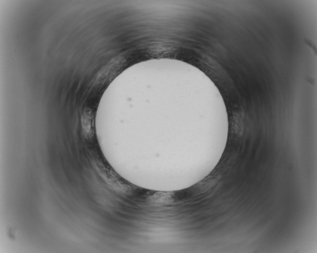 X0000102260138200808221424
