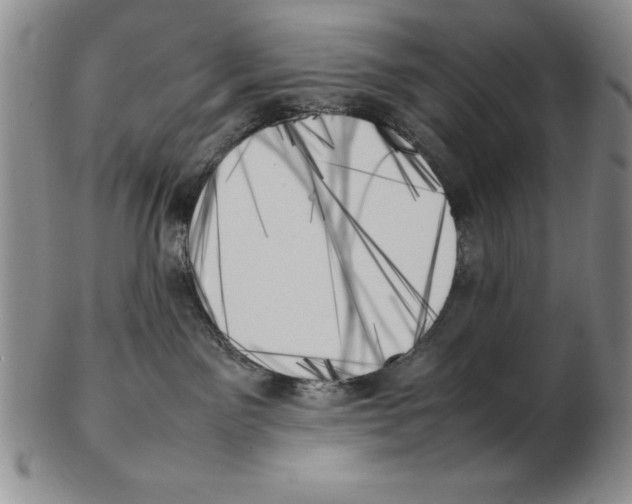 X0000102260141200808221424