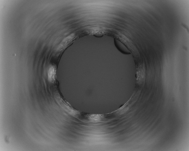 X0000102260142200808221424