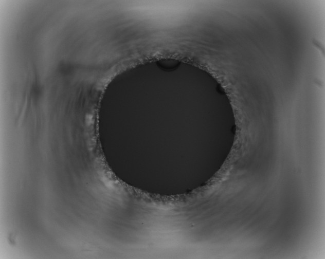 X0000102260144200808221424