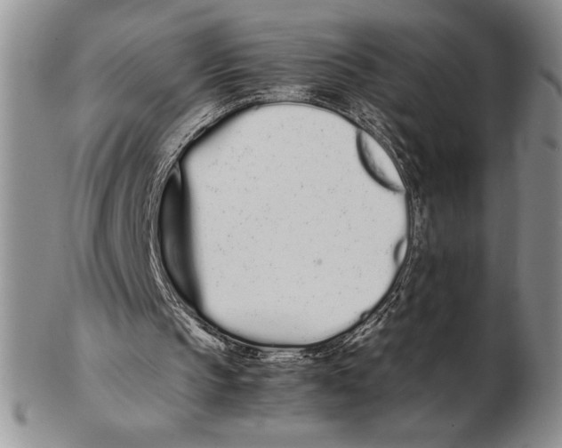 X0000102260145200808221423