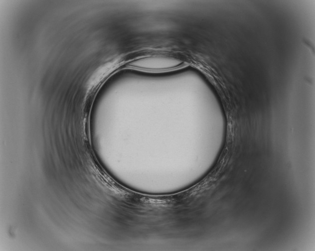 X0000102260149200808221423