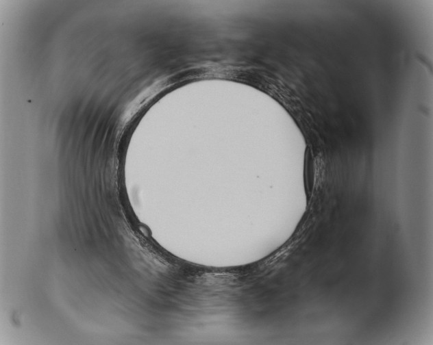 X0000102260150200808221423