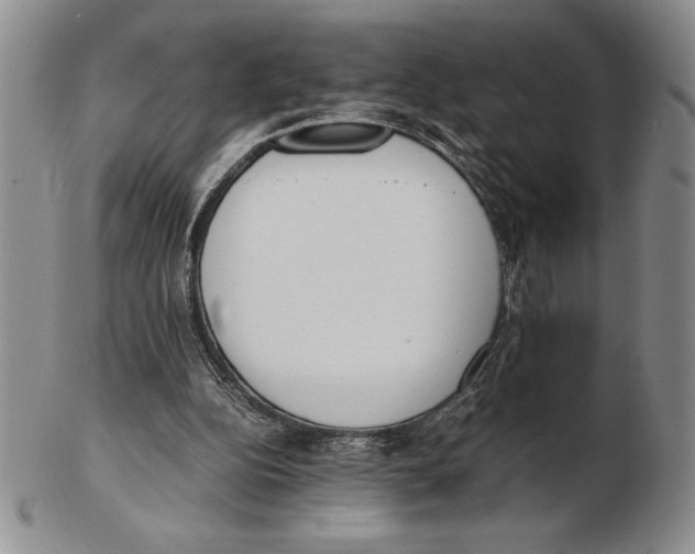 X0000102260152200808221423