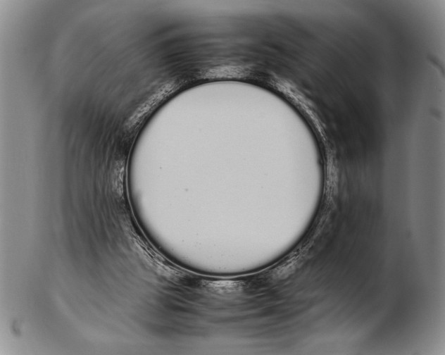 X0000102260153200808221423