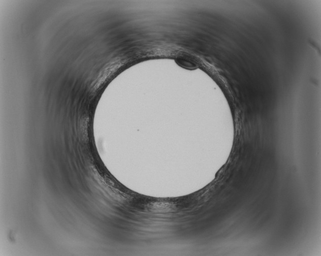 X0000102260154200808221423