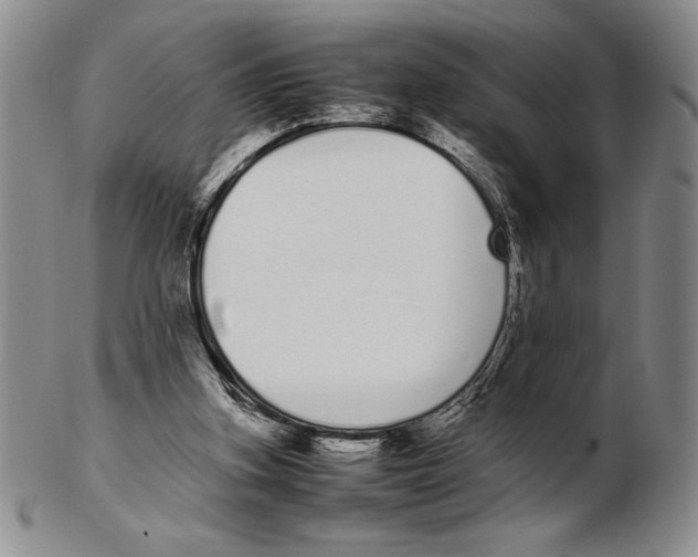 X0000102260155200808221423