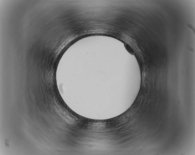 X0000102260156200808221423