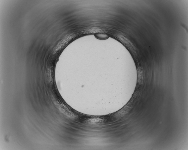 X0000102260158200808221423