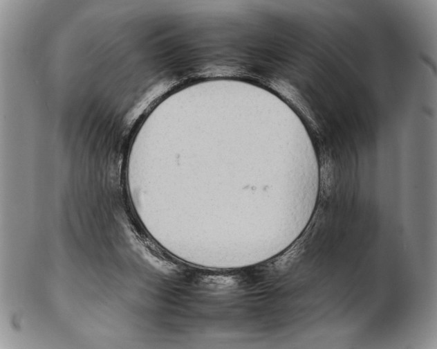 X0000102260159200808221423