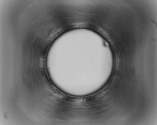 X0000102260161200808221423
