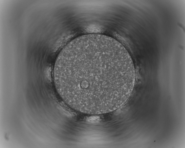 X0000102260162200808221423
