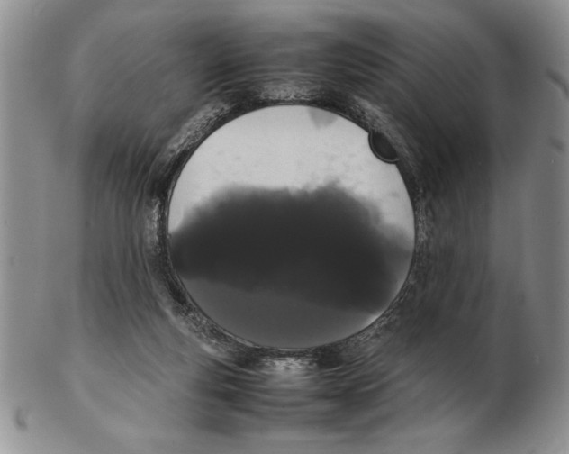 X0000102260163200808221423