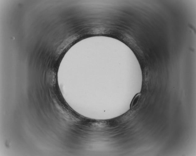X0000102260164200808221423