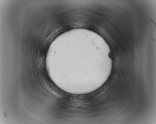 X0000102260165200808221423