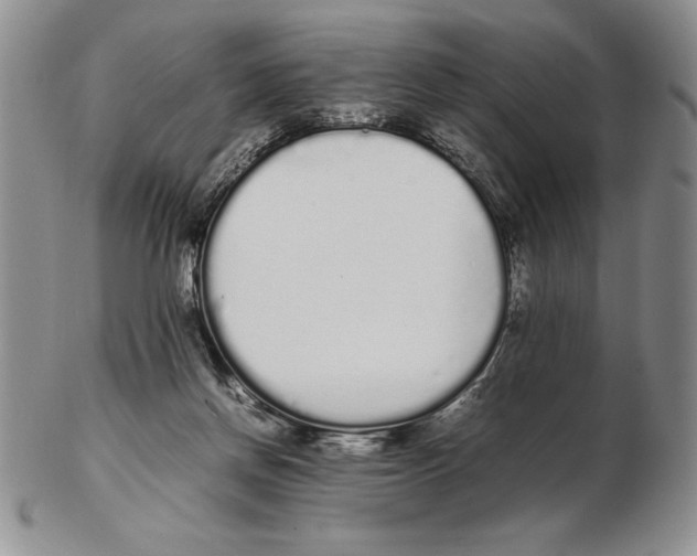 X0000102260166200808221423