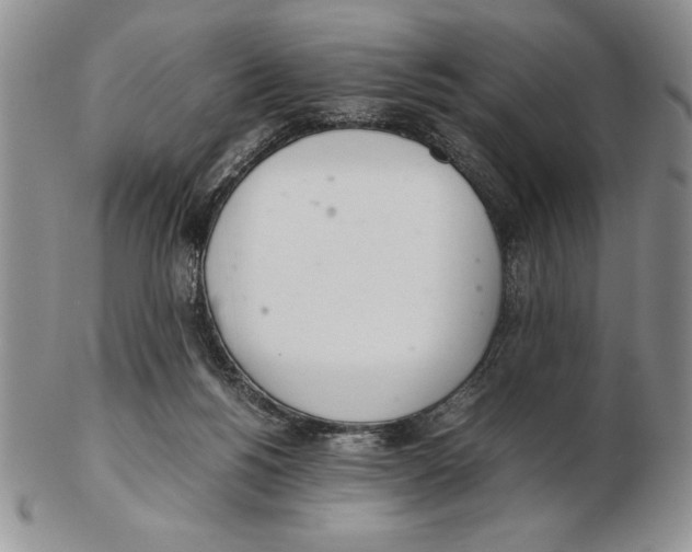 X0000102260168200808221423