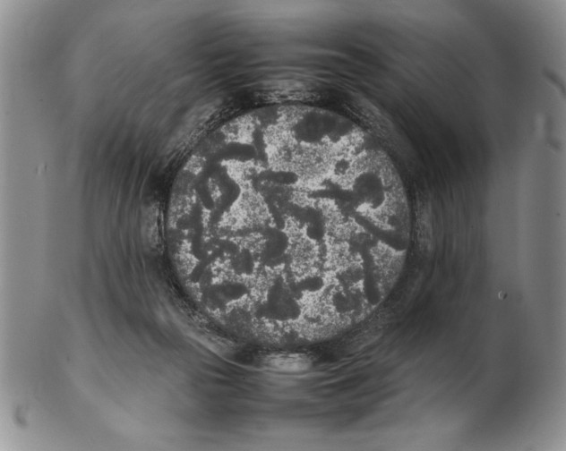 X0000102260169200808221423