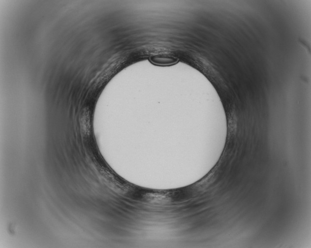 X0000102260170200808221423
