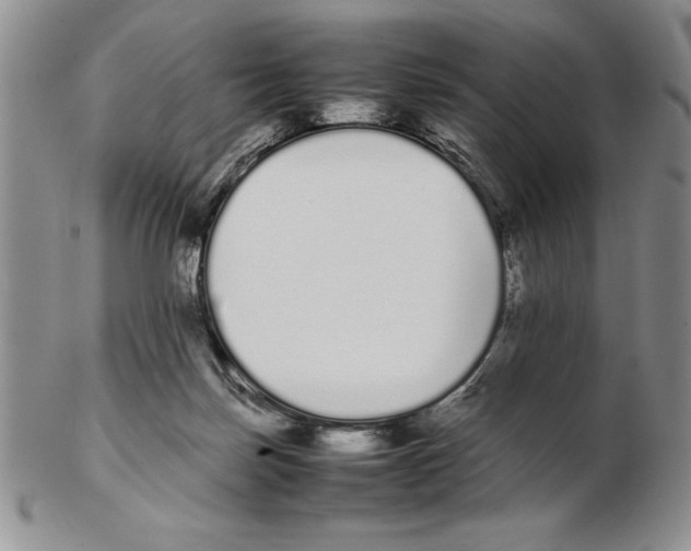 X0000102260171200808221423