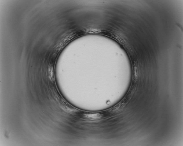 X0000102260173200808221423